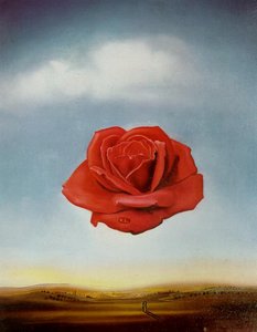 Meditatieve Roos — Salvador Dalí