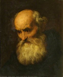 Head Of A Bearded Old Man (style Of Paolo Veronese) — Sir Anthony Van Dyck