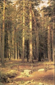 Schiffsbauholz-hain — Ivan Ivanovich Shishkin