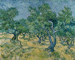 Olive Grove — Vincent Willem Van Gogh