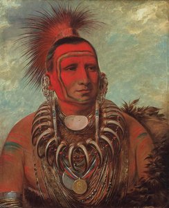 Shon Ta Yi Ga, Piccolo Lupo, Un Famoso Guerriero — George Catlin