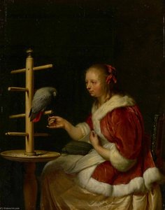 A Lady With Her Parrot — Frans Van Mieris