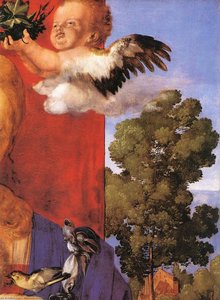 Madona S Chřebačem (detail) — Albrecht Dürer