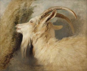 Head Of A Goat — Sir Edwin Henry Landseer