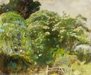 Fioritura Di Sambuco — Sir Alfred James Munnings