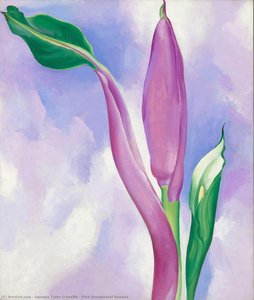 Untitled — Georgia O’keeffe