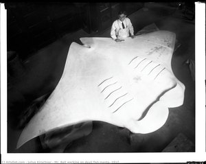 Mr. Bell Working On Devil Fish Manta, 1917 — Julius Kirschner