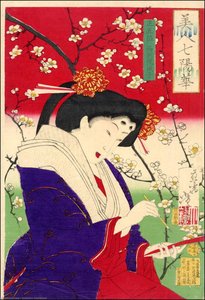 Nishinotouin Shigeko — Tsukioka Yoshitoshi
