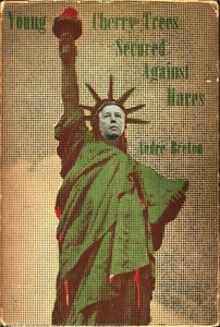 Cover For ''young Cherry Trees Secured Against Hares'' — Marcel Duchamp