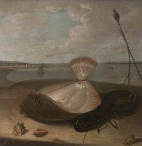 Turbot, Lobster And Sea Shells, In The Thames Estuary ( ) — Arthur Devis