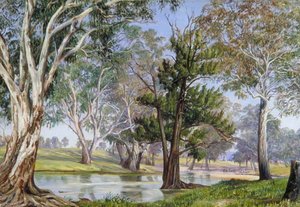 Życie Roślinne I Zwierząt W Mudgee, Nowa Anglia Zachodnia — Marianne North