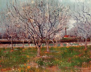 Orchèto In Fiore (anche Noto Come Alberi Di Prugne) — Vincent Willem Van Gogh