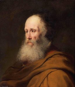 Bearded Old Man With A Brown Cloak — Jan Andrea Lievens Jan Lievens