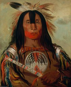 Stu Mick O Súcks, Buffalo Bull's Back Fat, Capo Supremo, Tribù Blood — George Catlin
