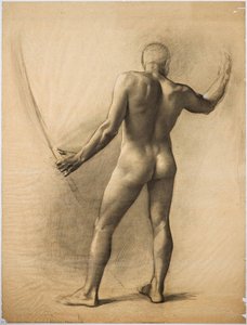 Male Nude — Amedeo Bocchi