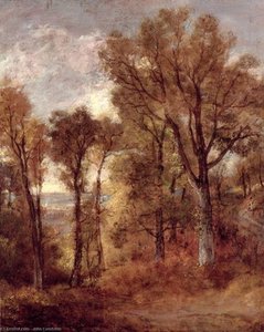 Vista Boschiva In Suffolk — John Constable