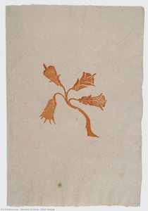 Print Sample — Mariano Fortuny