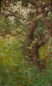 Hemlock — Benjamin Haughton