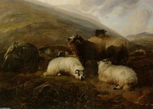 Sheep In The Highlands — Thomas Sidney Cooper