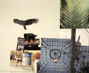 Soar (runt) — Robert Rauschenberg