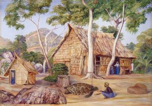 Emile's Palm House, Praslin — Marianne North