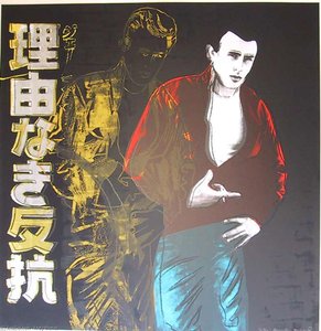 Rebel Without A Cause — Andy Warhol