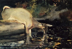 Sciacquarello Di Cervi — Winslow Homer