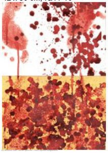 This Leprous Brightness — Imran Qureshi