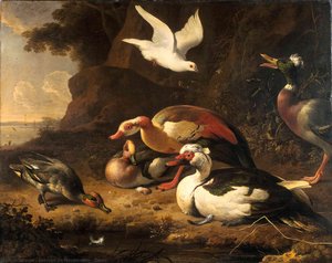 Ducks — Melchior De Hondecoetter
