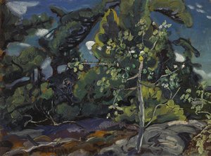 The Little Poplar — Arthur Lismer