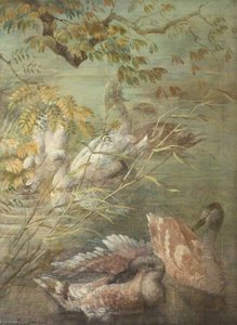 Swans And Cygnets — Philip Connard