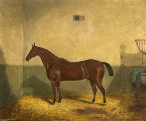 Bay Horse In A Stable — Richard Whitford