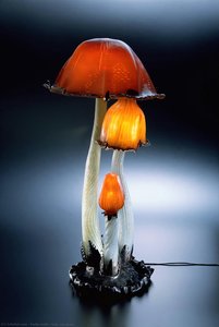 Inky Cap Lamp — 에밀 갈레