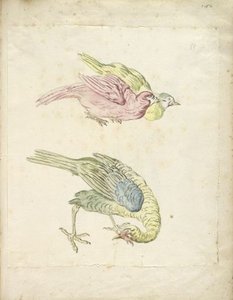 Three Birds, Two Hunched Together And One Looking Back To The Left — Jean-baptiste Oudry