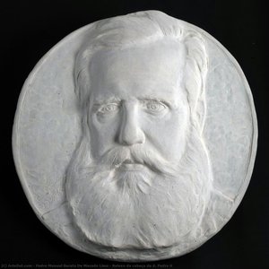 Relevo Da Cabeça De D. Pedro Ii — Pedro Manuel Barata De Macedo Lima