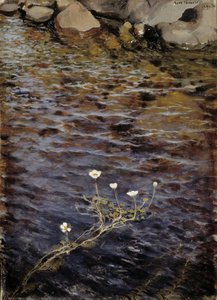 Pond Water Crowfoot — Eero Järnefelt
