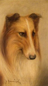 Collie — George Washington Brownlow