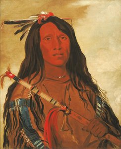 Né-hee-ó-ee-wóo-tis, Wolf On The Hill, Chief Of The Tribe — George Catlin