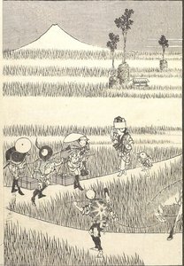 Fuji Üheaastase Põllukultuuri Näitus — Hokusai