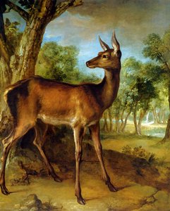 The Watchful Doe — Jean-baptiste Oudry