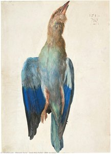 Untitled — Albrecht Dürer