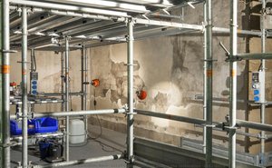 Sala Delle Asse, Detail Of Monochrome During The Restoration (2012-2015) — Leonardo Da Vinci