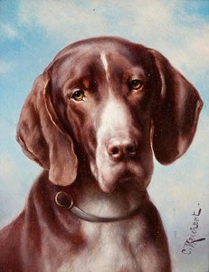Portrait of a Dog