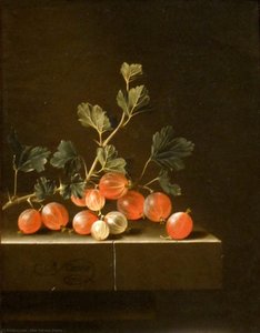 Untitled (aqrdag) — After Adriaen Coorte