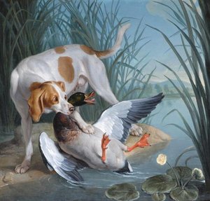 Dog And Wild Duck — Jean-baptiste Oudry
