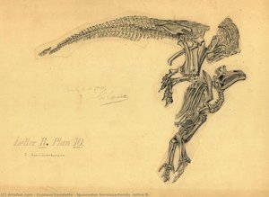 Iguanodon Bernissartensis “lettre R” — Gustave Lavalette