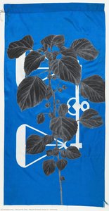 Ukendt Serie Ii - Rumpai — Sharon M. Chin