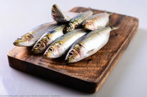 Sardines — José Luis "chele" Gonzalez