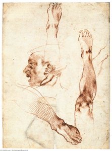 Male Head In Profile And Leg Studies (recto) — Michelangelo Buonarroti
