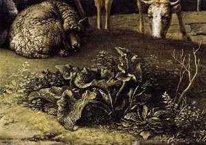 Husbůvník S Ovcemi (detail) — Paulus Potter